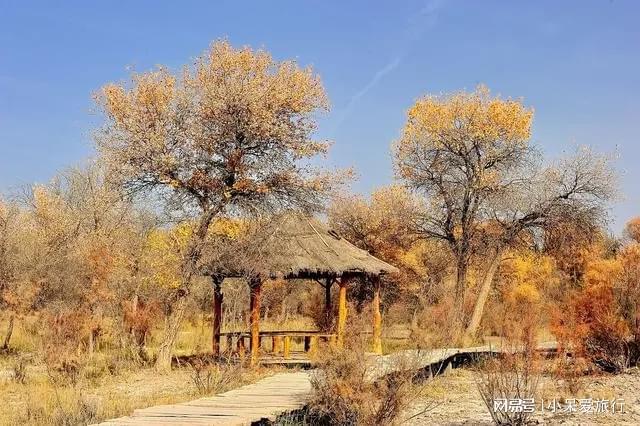 吴忠秋日最值得游览的古寺(图3)