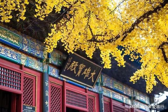 秋日的银川大明寺在寺庙中感受静谧