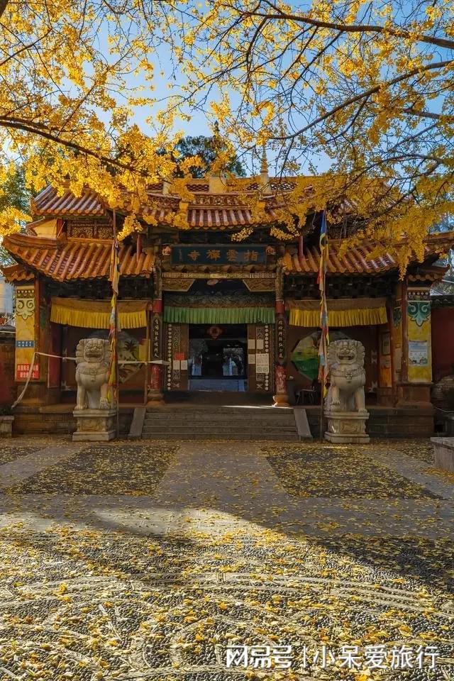 秋日的银川大明寺在寺庙中感受静谧(图3)
