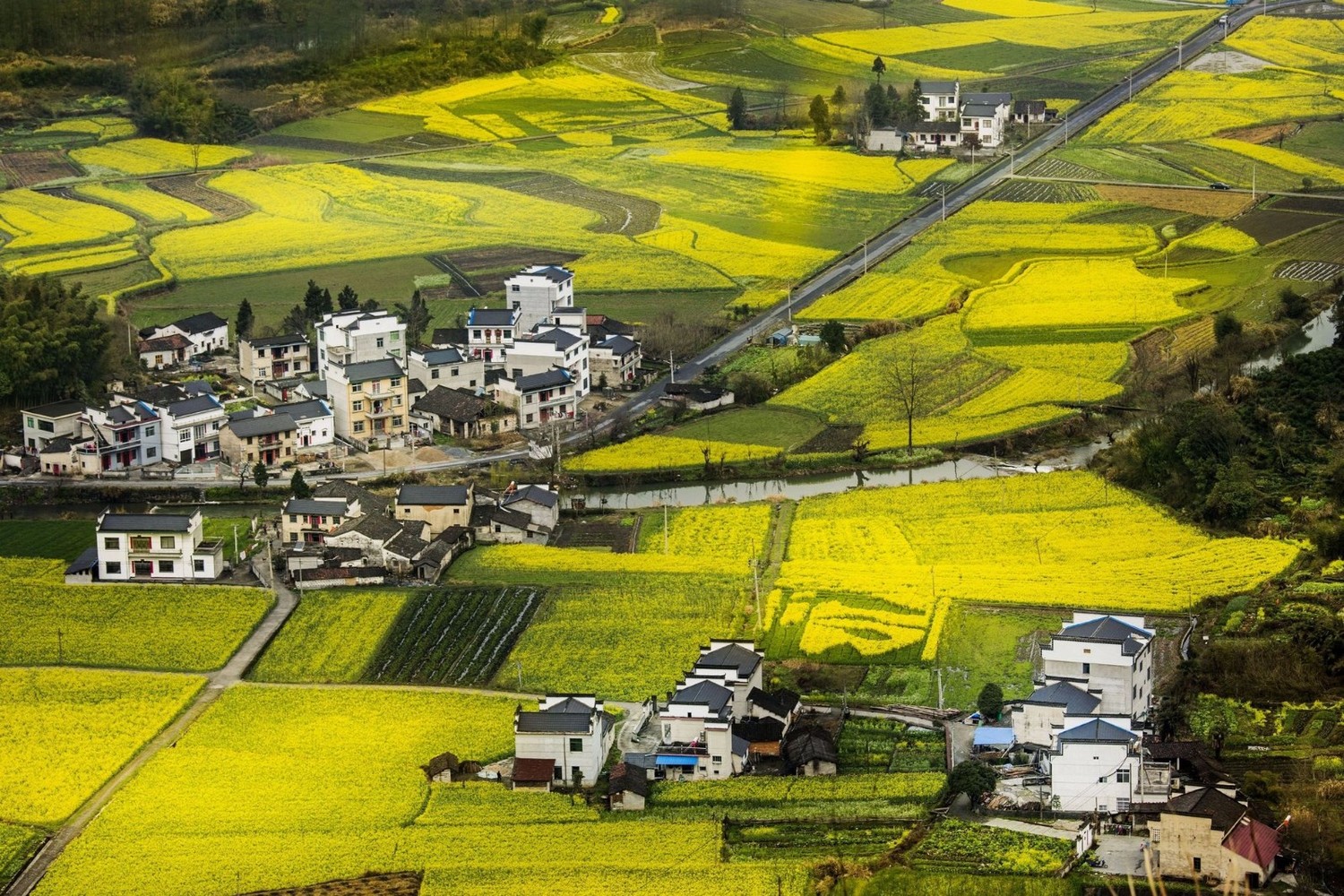九游娱乐文化：2024北京哪里的花好看？拍花有什么技巧？北京旅游攻略-游侠客旅行(图4)