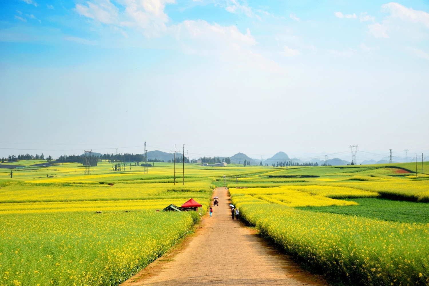 九游娱乐文化：2024北京哪里的花好看？拍花有什么技巧？北京旅游攻略-游侠客旅行(图3)