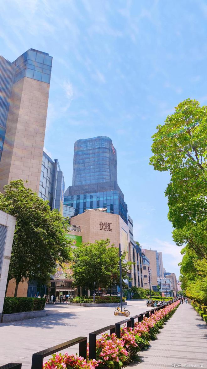 上海五角场漫步：感受都市的繁华心跳(图4)