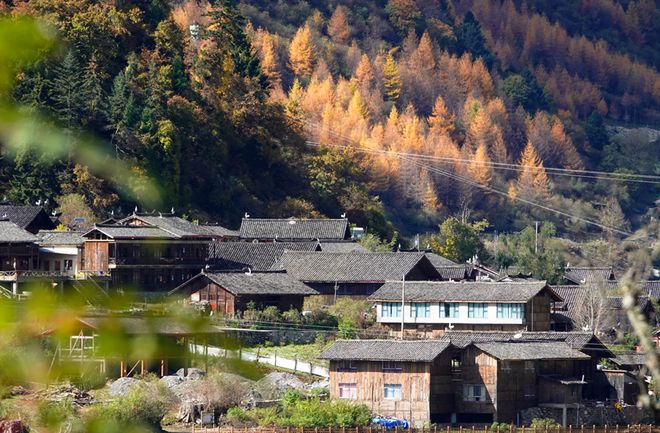 九游娱乐：秋游绵阳峰巅观斓即将上线！雪山彩林+湖畔古寨！平武这条“百里红叶走廊”秋色绚烂美成画卷(图9)