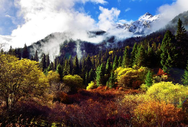 九游娱乐：秋游绵阳峰巅观斓即将上线！雪山彩林+湖畔古寨！平武这条“百里红叶走廊”秋色绚烂美成画卷(图16)
