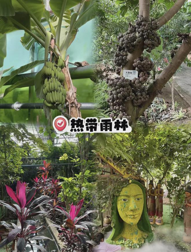 北京出发1h直达“京郊西双版纳”景美人少性价比高遛娃必选