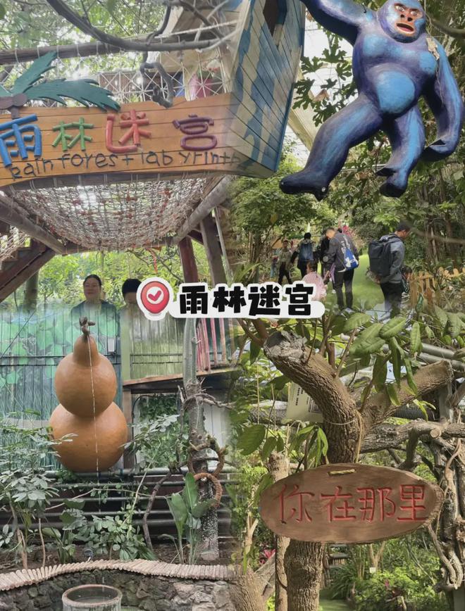 北京出发1h直达“京郊西双版纳”景美人少性价比高遛娃必选(图6)