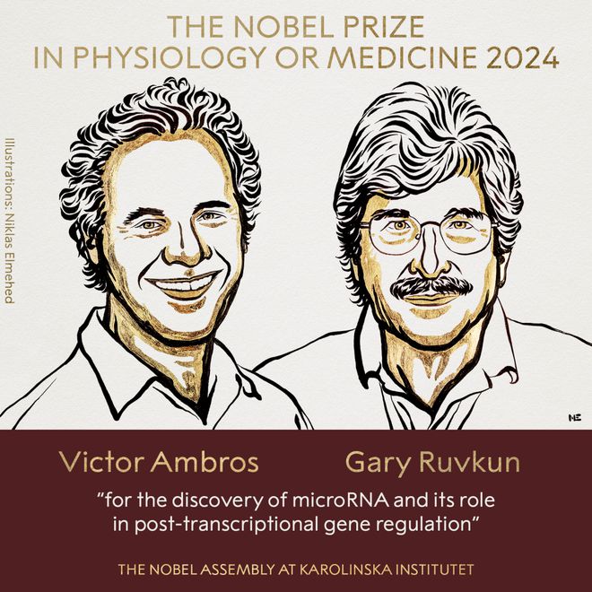 前沿科技揭开基因调控之谜！解读2024年诺贝尔生理学或医学奖