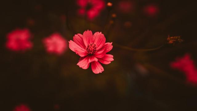 真正心眼坏的人往往喜欢向你打听三件事要小心了(图3)