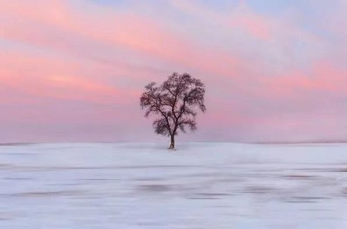 旅行拍照教你几招(图4)