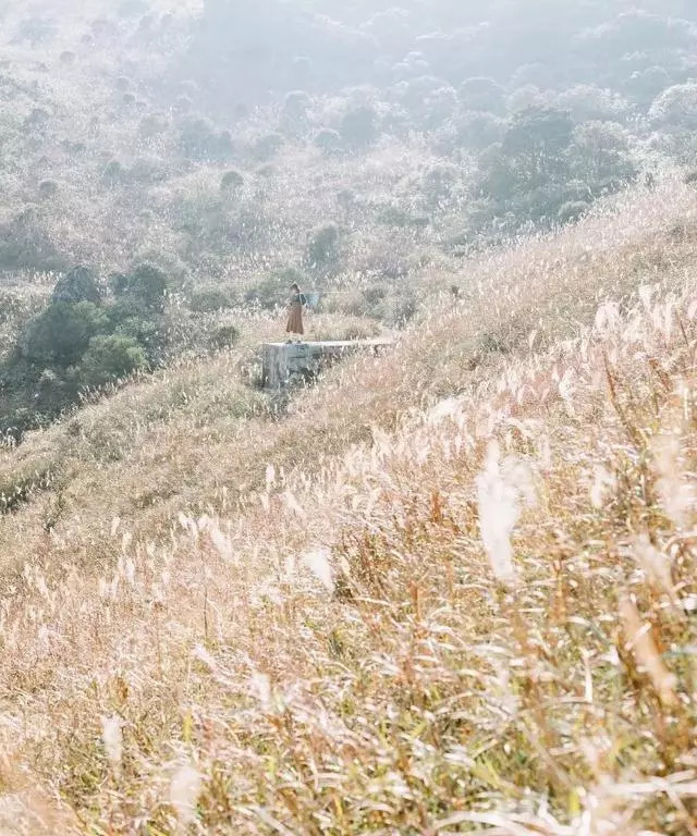教你以下拍照技巧拍出旅行大片！(图5)