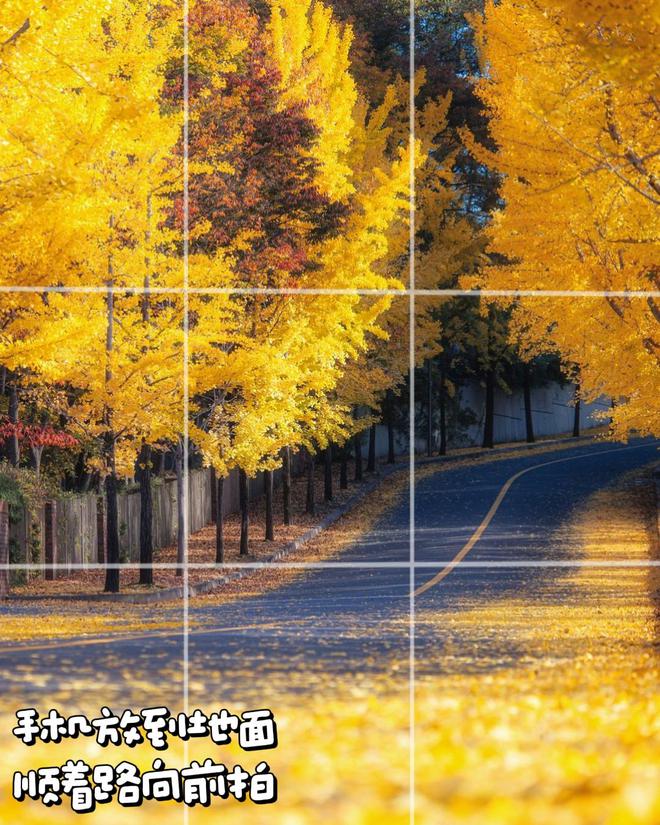 不是景不美是你没拍对10个日常风景拍照技巧帮你拍美日常(图5)