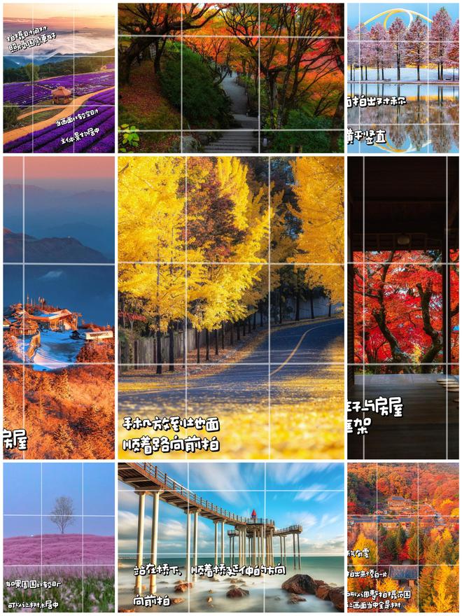 不是景不美是你没拍对10个日常风景拍照技巧帮你拍美日常