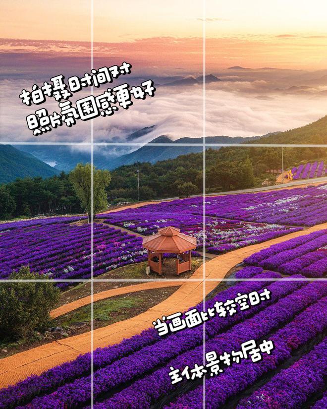 不是景不美是你没拍对10个日常风景拍照技巧帮你拍美日常(图4)