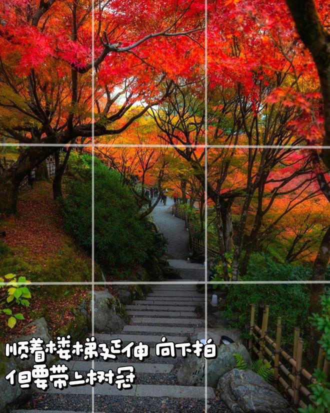 不是景不美是你没拍对10个日常风景拍照技巧帮你拍美日常(图6)