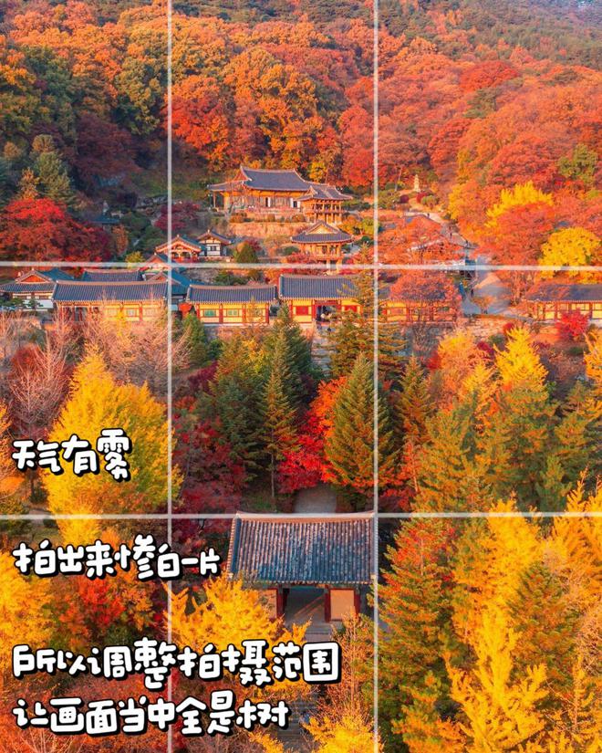 不是景不美是你没拍对10个日常风景拍照技巧帮你拍美日常(图2)