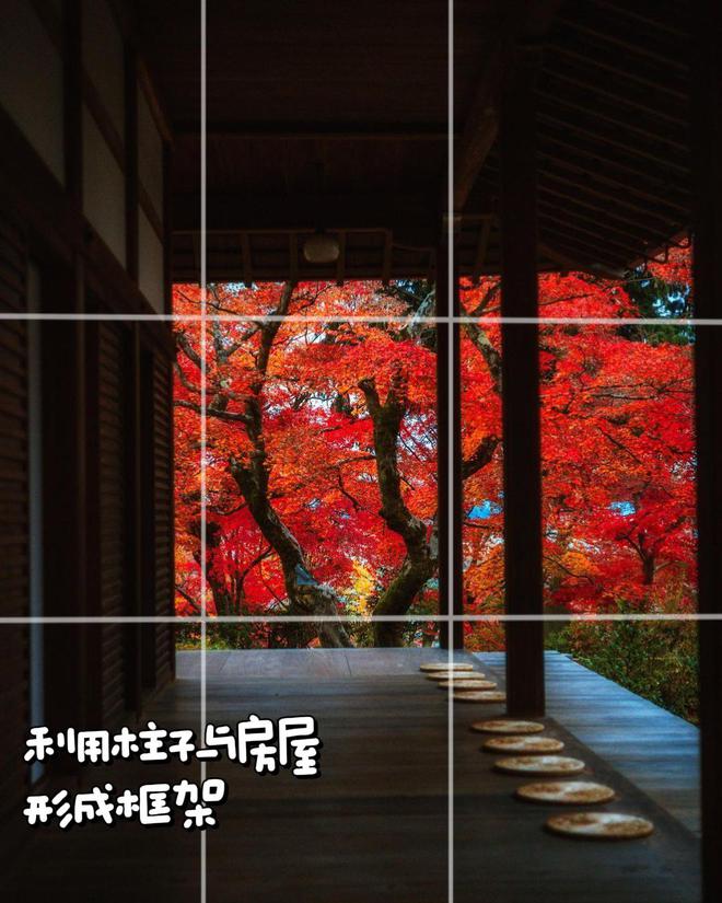 不是景不美是你没拍对10个日常风景拍照技巧帮你拍美日常(图9)