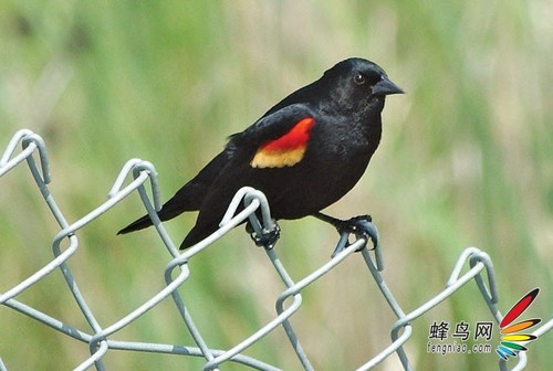 九游娱乐：出游速成教程旅行时人文景观的拍摄方法(图20)