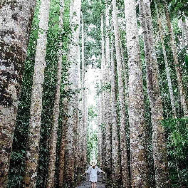 摄影丨旅行中掌握这些拍照技巧让你的照片美十倍！
