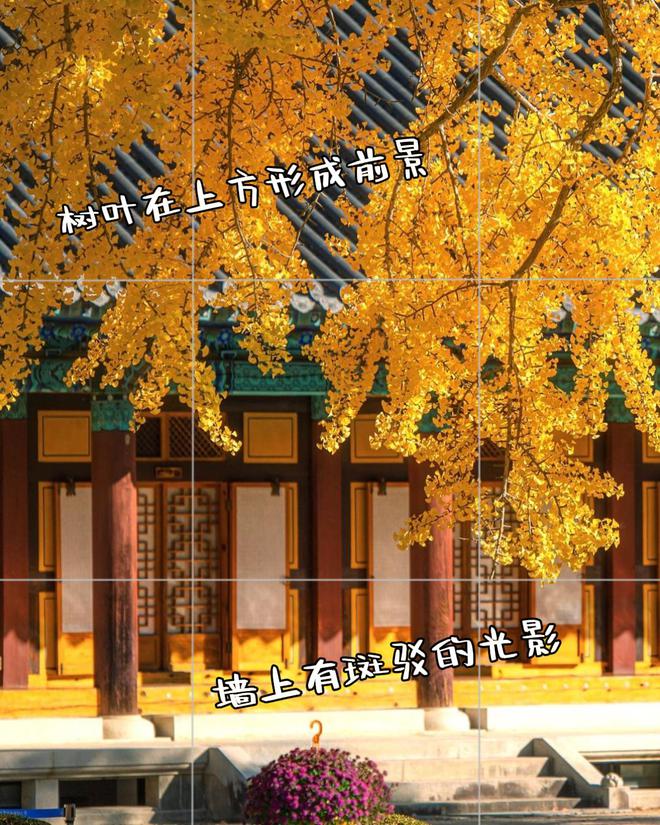 照片点评10张风景拍照错误不要犯摄影技巧可借鉴快来学(图9)