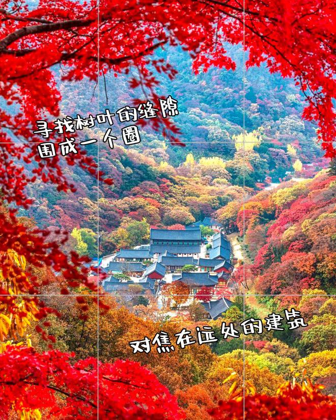 照片点评10张风景拍照错误不要犯摄影技巧可借鉴快来学(图6)