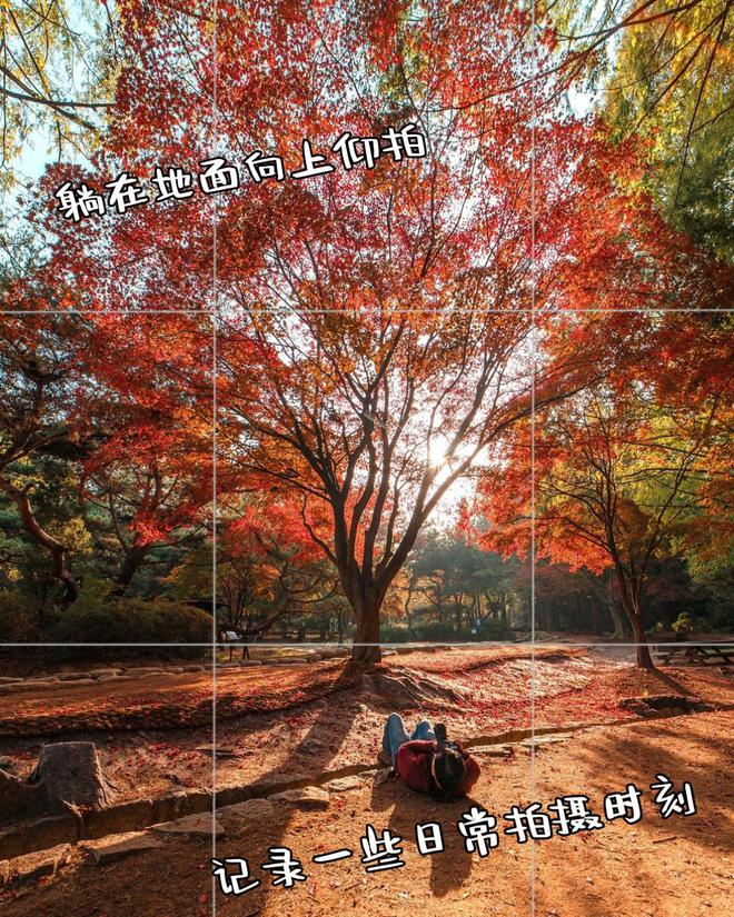 照片点评10张风景拍照错误不要犯摄影技巧可借鉴快来学(图7)