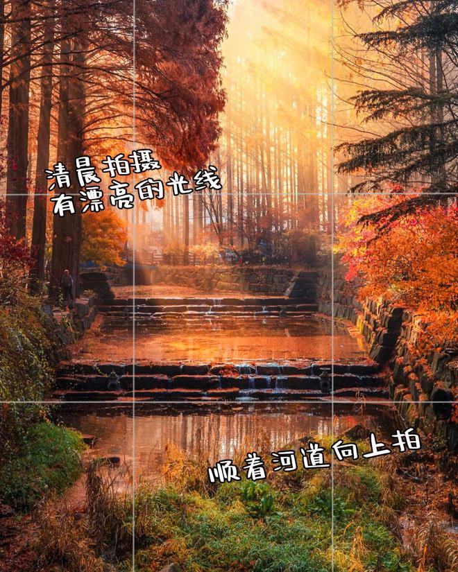 照片点评10张风景拍照错误不要犯摄影技巧可借鉴快来学(图2)