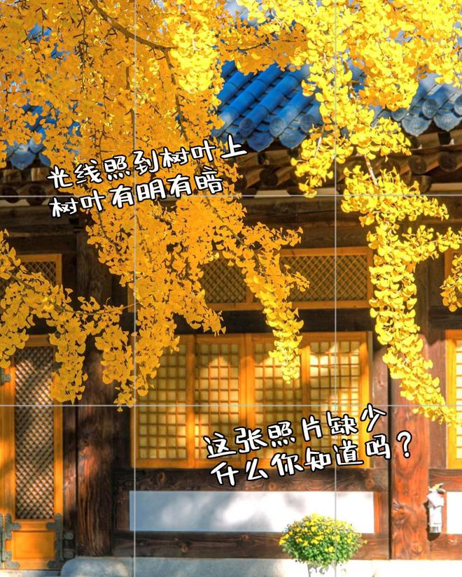 照片点评10张风景拍照错误不要犯摄影技巧可借鉴快来学(图11)