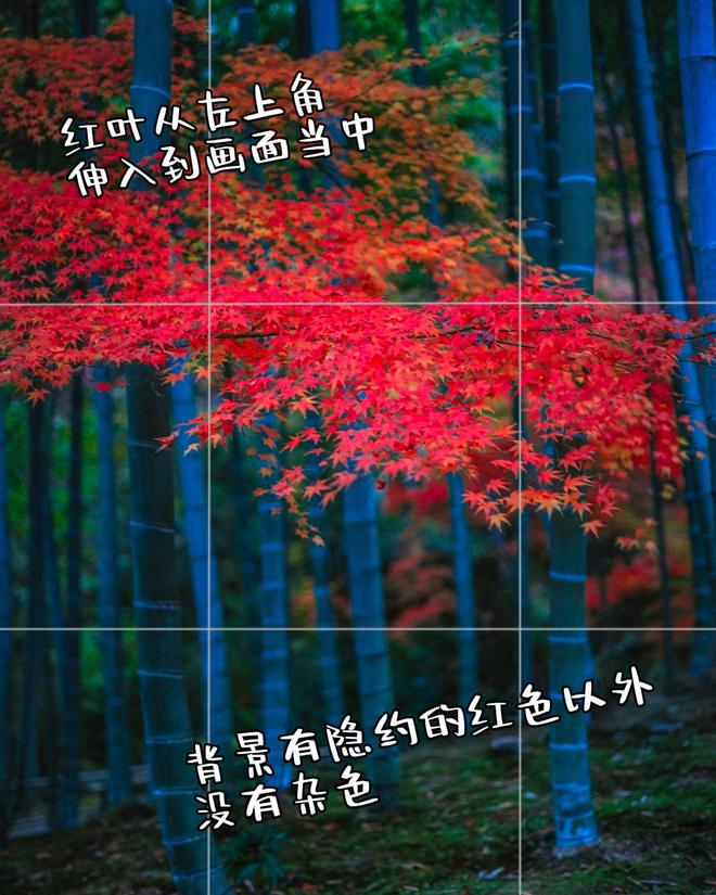 照片点评10张风景拍照错误不要犯摄影技巧可借鉴快来学(图5)