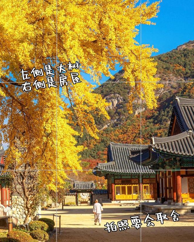 照片点评10张风景拍照错误不要犯摄影技巧可借鉴快来学(图10)