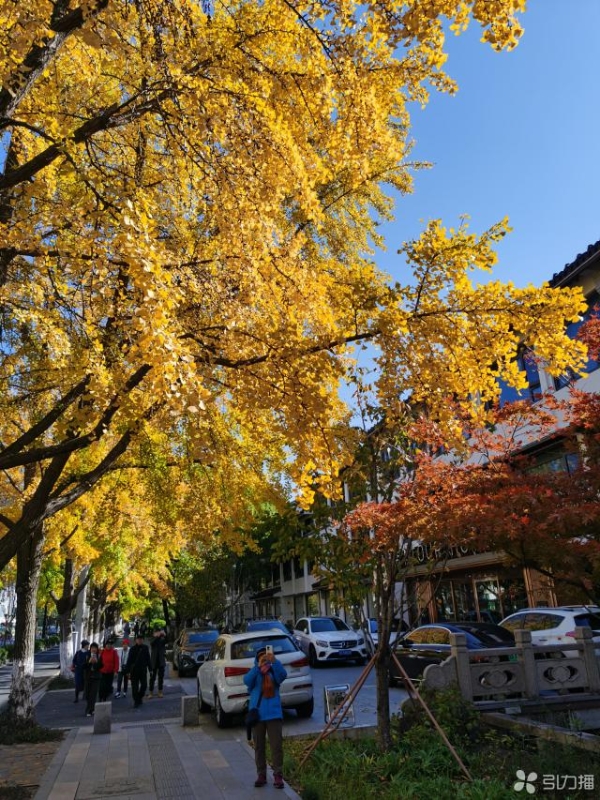 九游娱乐：初冬赏景来姑苏出行攻略请查收