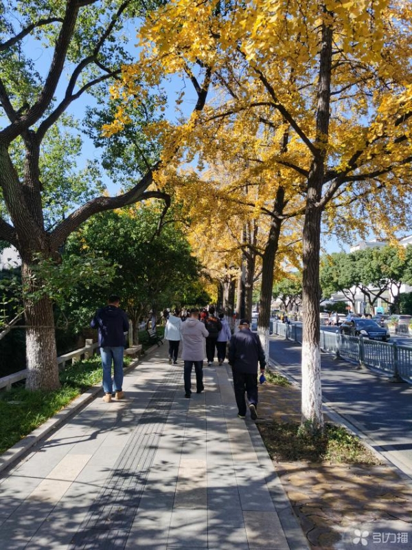九游娱乐：初冬赏景来姑苏出行攻略请查收(图3)