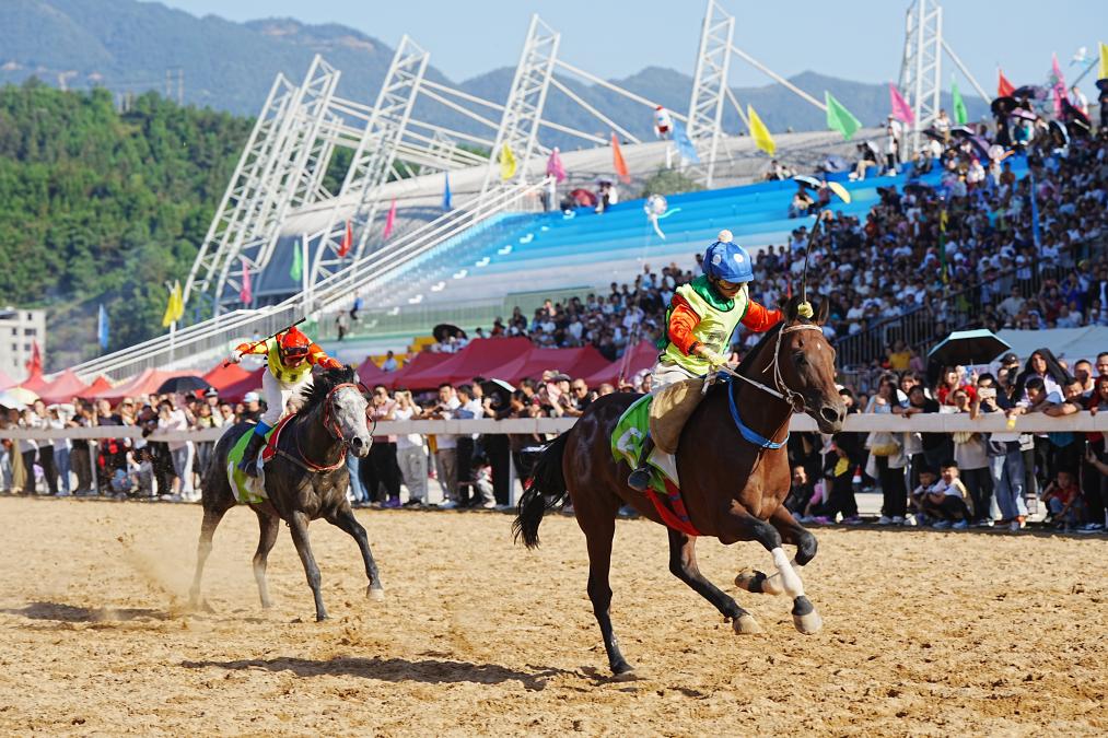“村赛”成贵州国庆旅游消费热点(图4)
