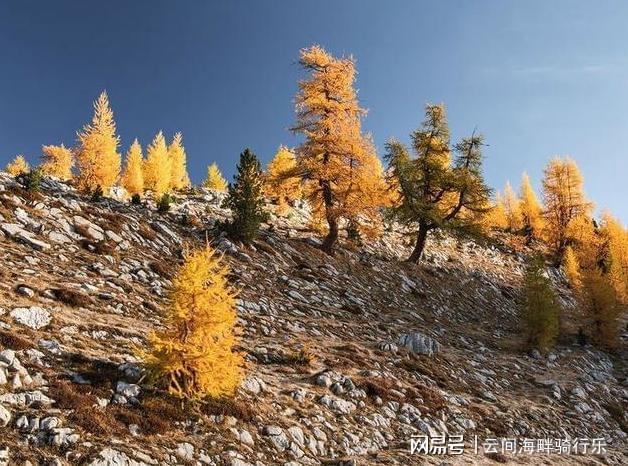 掌握这五大摄影技巧让你的旅行照美出圈！(图3)