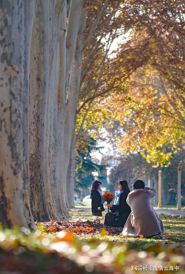 郑州冬日色彩秘境：解锁城市中的自然美学之旅(图2)