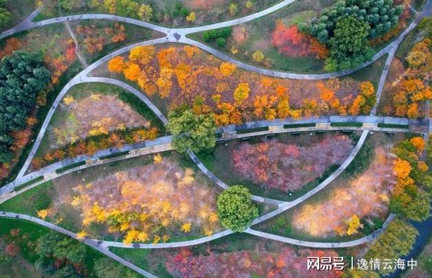 郑州冬日色彩秘境：解锁城市中的自然美学之旅