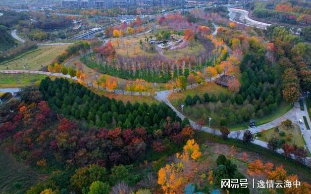 郑州冬日色彩秘境：解锁城市中的自然美学之旅(图4)
