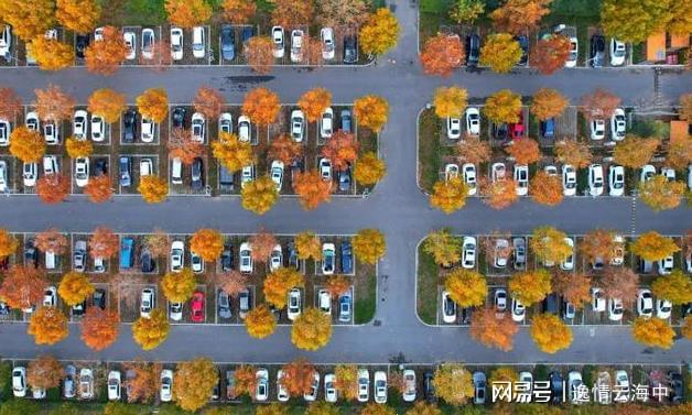 郑州冬日色彩秘境：解锁城市中的自然美学之旅(图3)