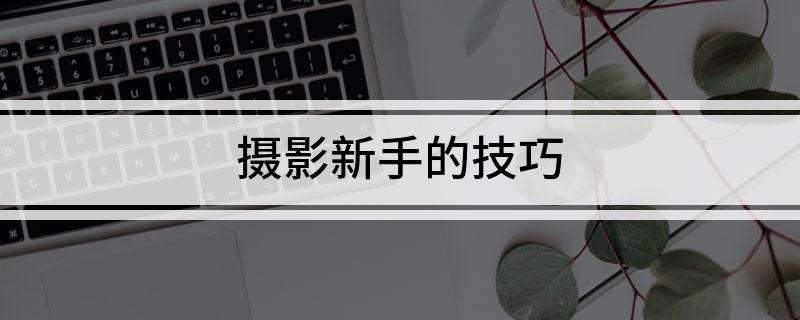 摄影新手的技巧