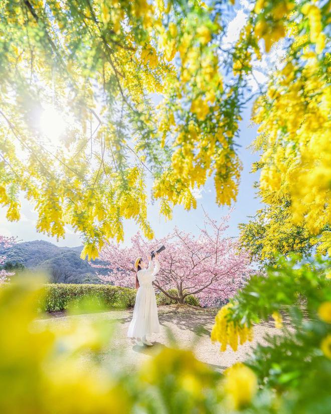 九游娱乐：景大人小9个拍照方法景美人美照片美美丽动人(图5)