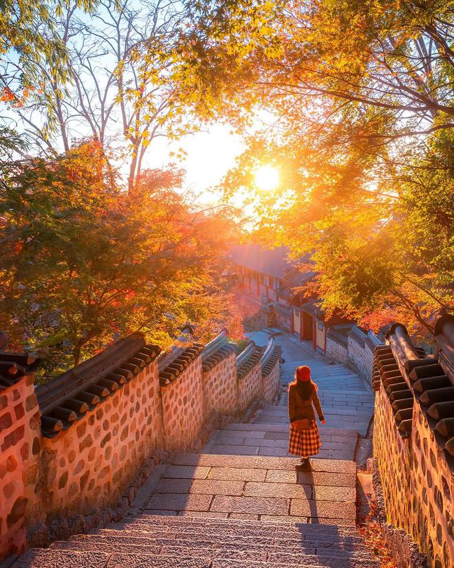九游娱乐：景大人小9个拍照方法景美人美照片美美丽动人(图7)