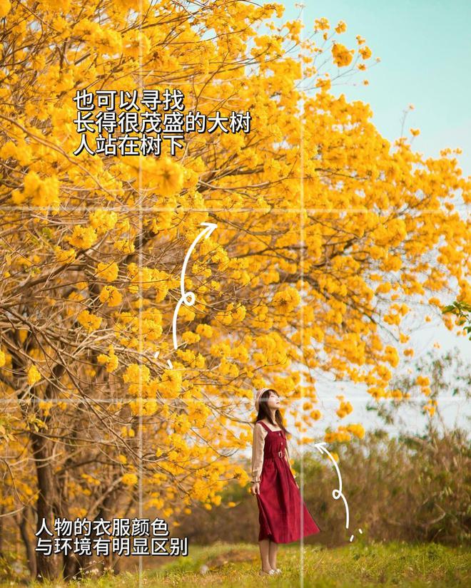 九游娱乐文化：旅游打卡景大人小拍照教科书：6招让你的旅行照点赞破万