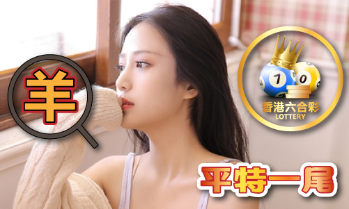 澳门管婆58801comV