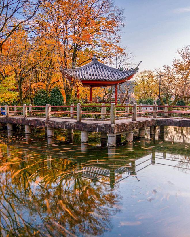 过年拍日出旅游拍风景生活拍日常10个拍照技巧全都讲(图11)