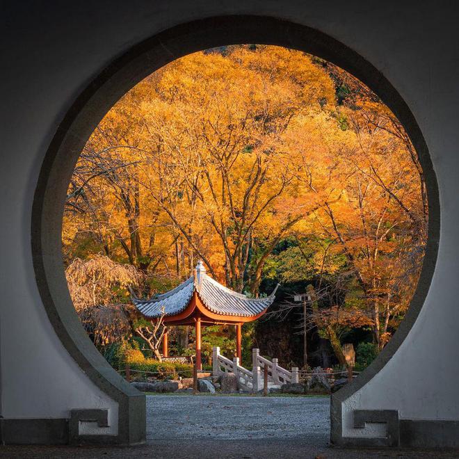 晚霞大树和风景都怎么拍好看10个拍照技巧生活旅游都能用(图8)
