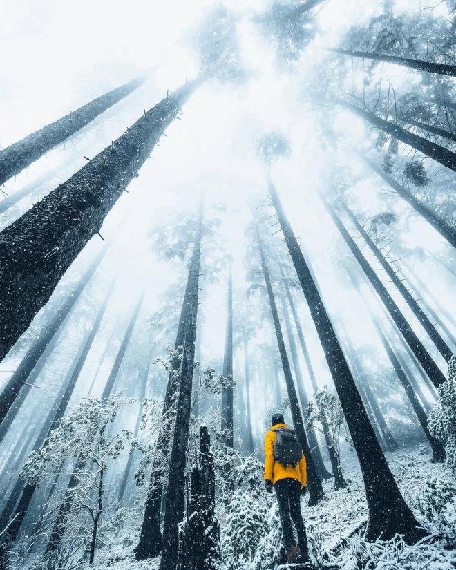 晚霞大树和风景都怎么拍好看10个拍照技巧生活旅游都能用(图11)