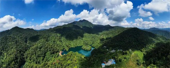 优秀案例！肇庆星湖人文山水“趣”研学→