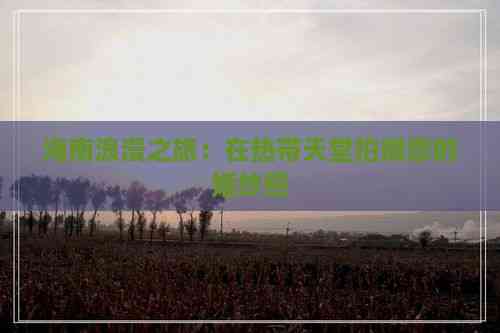 海南浪漫之旅：在热带天堂拍摄您的婚纱照(图6)