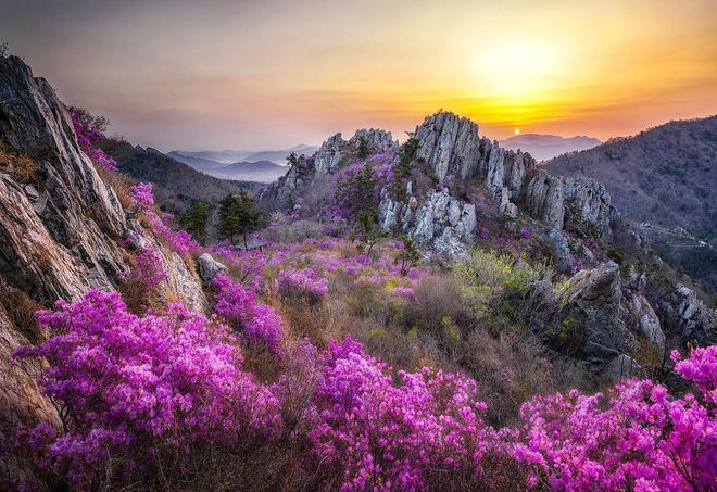 8个拍照技巧普通风景变大片日常生活和旅游都能用得上(图10)