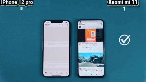 iPhone15Pro空间照片拍摄技巧(图3)