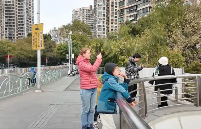 热度飙升！外籍游客都来了这里成了上海入境旅游新热点(图2)